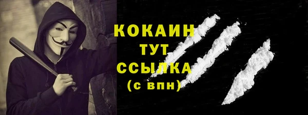 шишки Кукмор