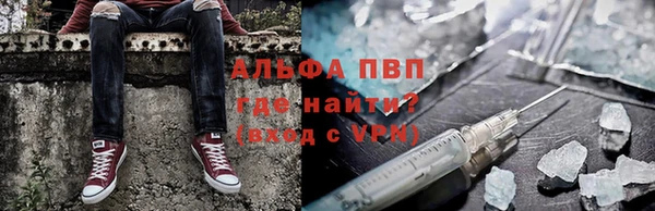 шишки Кукмор