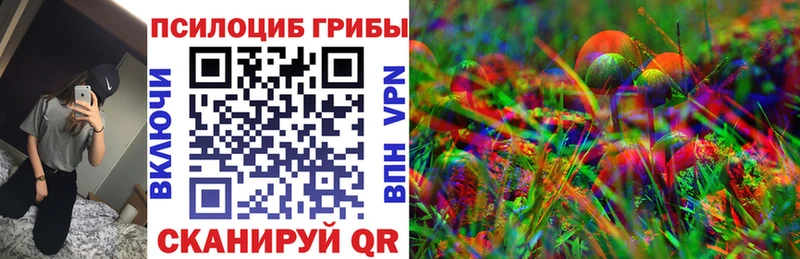 Купить закладки  Шелехов  Галлюциногенные грибы Psilocybine cubensis 